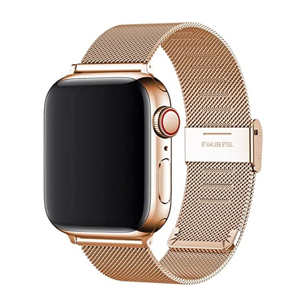Gliederarmband für Apple Watch – Mesh Coil Strip Bewertung und Preis